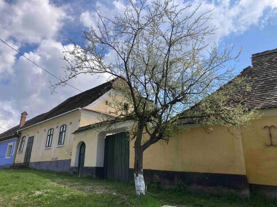 House By The Church - Entire House Crit المظهر الخارجي الصورة